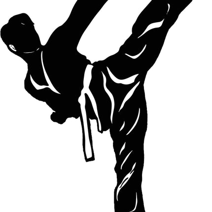 Collection image for: KARATE