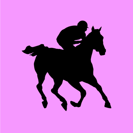 Collection image for: EQUITAZIONE