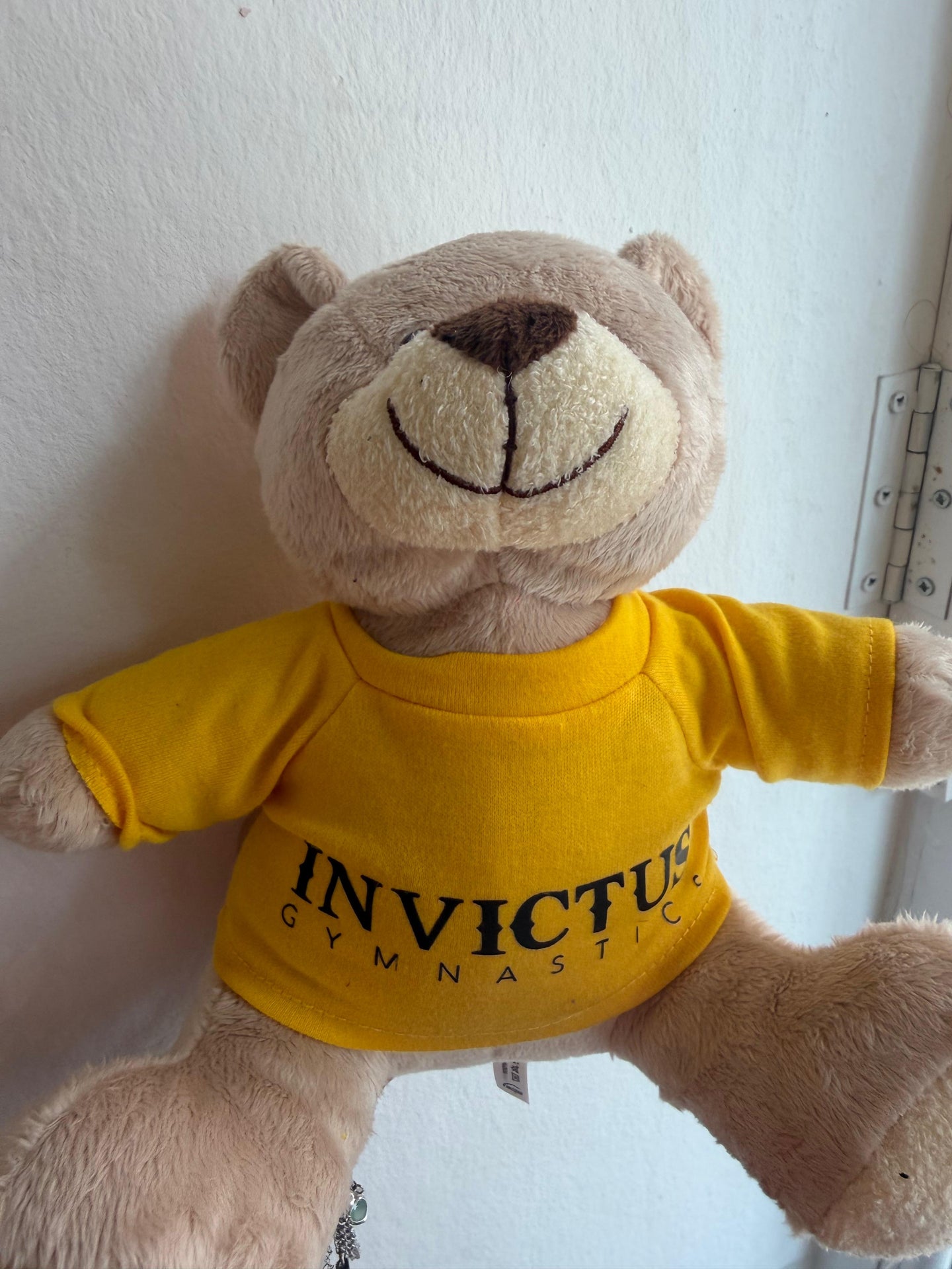 Orsetto con Maglietta Invictus