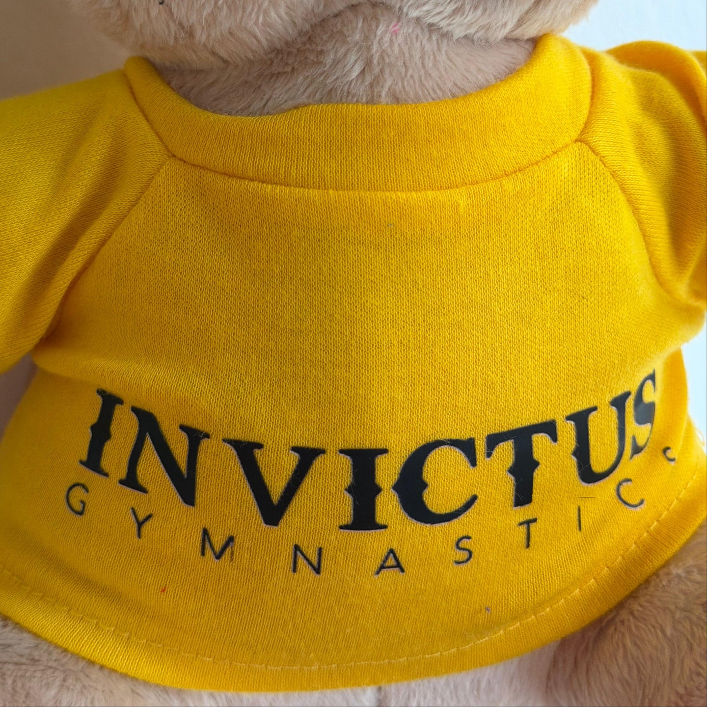 Orsetto con Maglietta Invictus